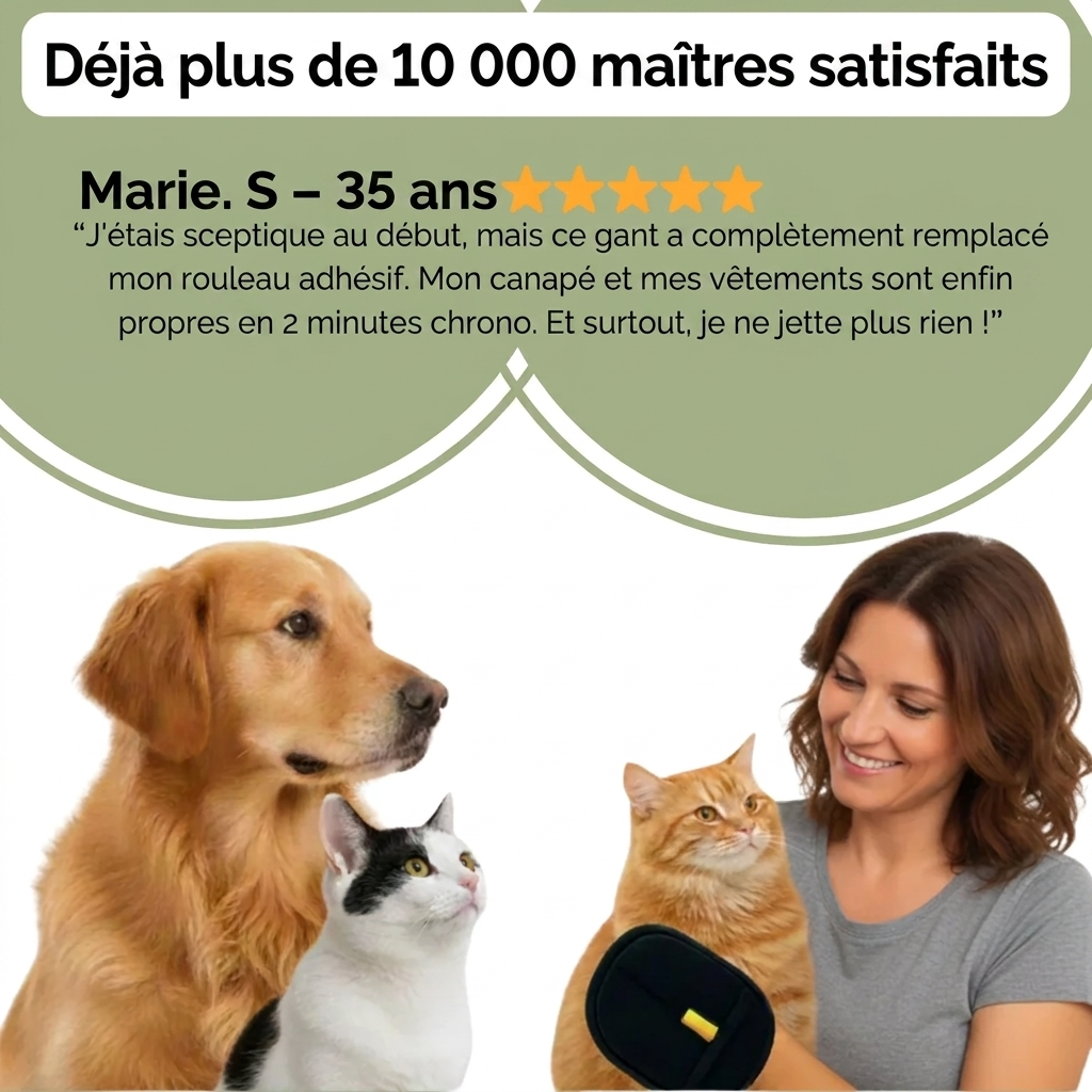 Gant attrape poil