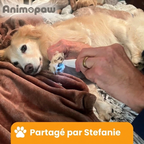 PawCut Pro™