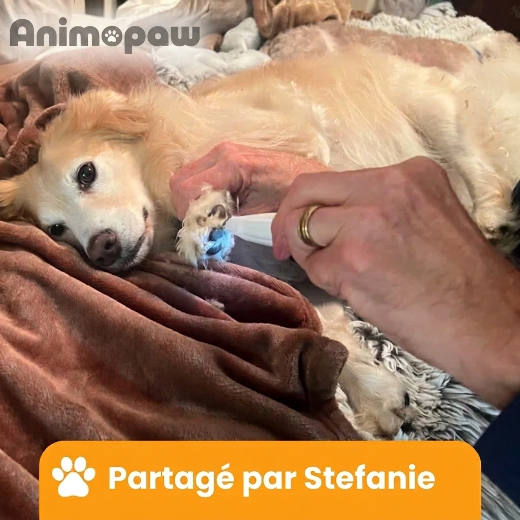 PawCut Pro™