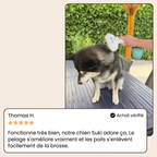 Gouttes de shampoing rafraîchissantes pour le pelage
