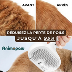 VapoBrosse AnimoPaw® | Brosse de Toilettage Professionnelle pour Animaux de Compagnie